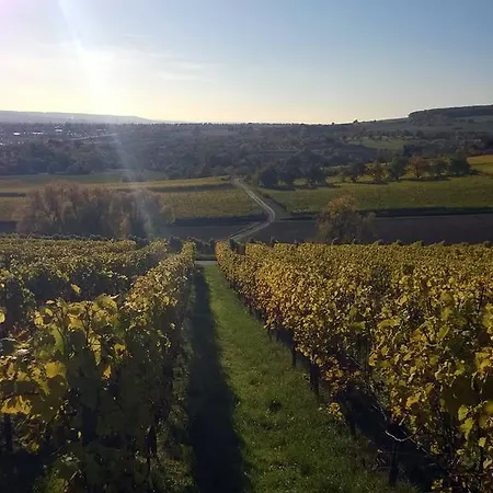 Stylische Office Apartmán Wiesbaden