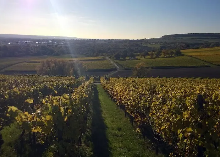 Stylische Office Апартаменты Висбаден